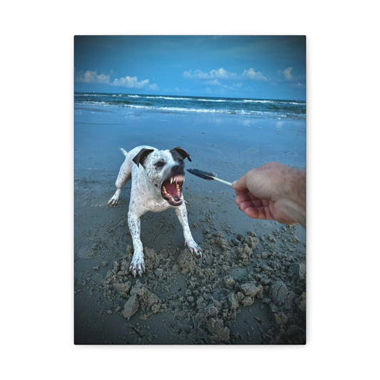 Playful Beach Dog Canvas Print — "Fetch" Moment Wall Art