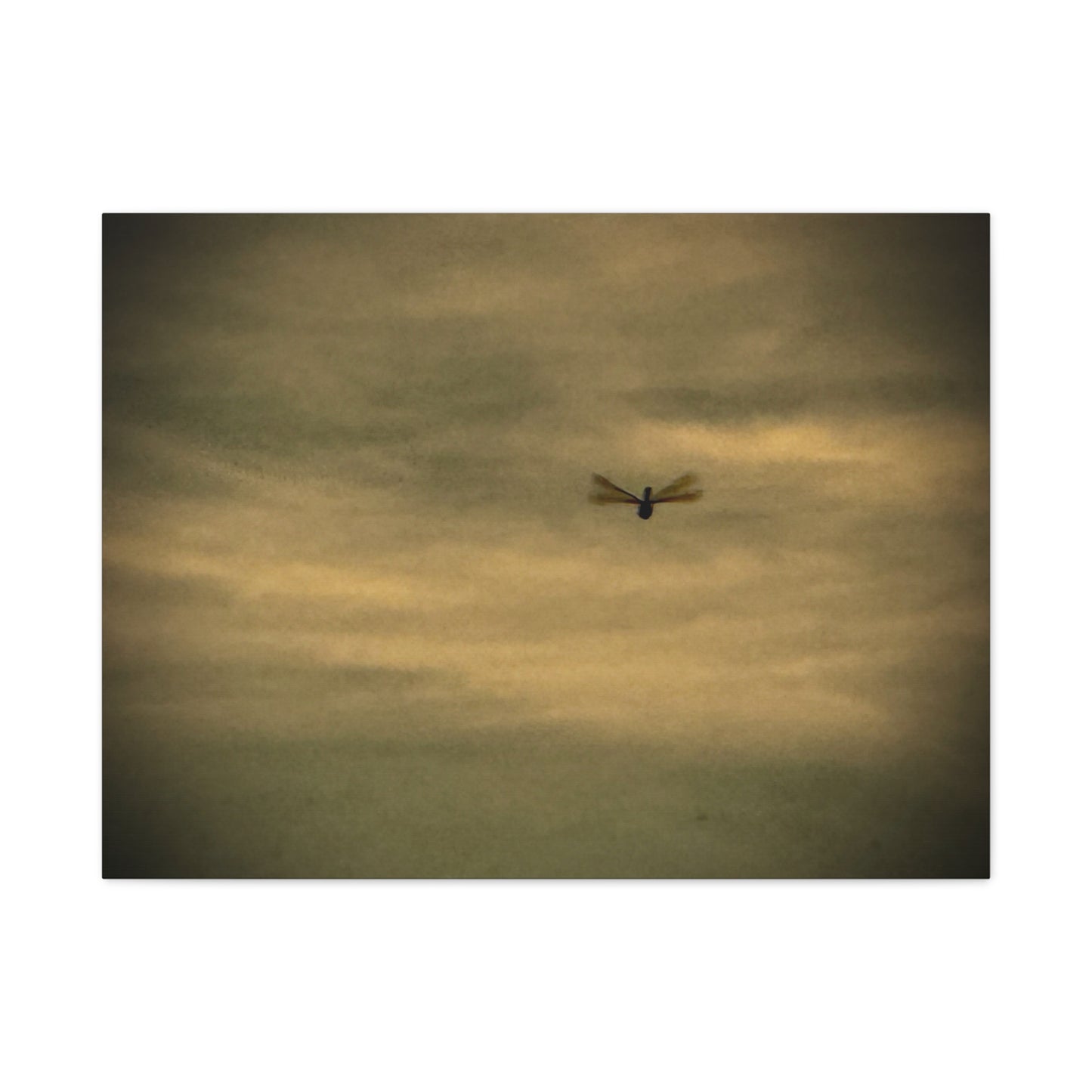 Dragonfly Sky Canvas Print – Moody Vintage Wall Art (Matte Stretched 1.25")