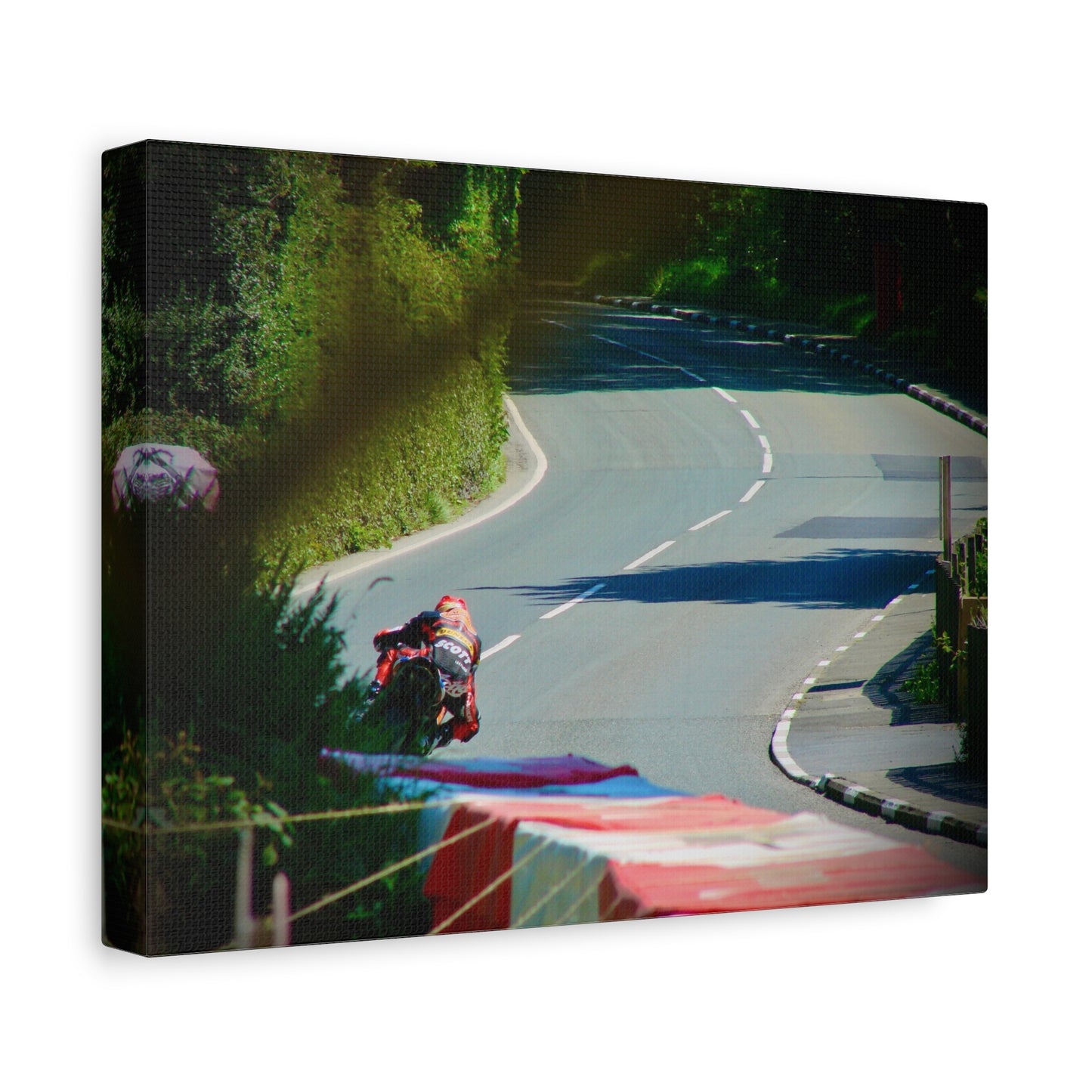 Motorcycle Canvas Print – Road Racing Wall Art