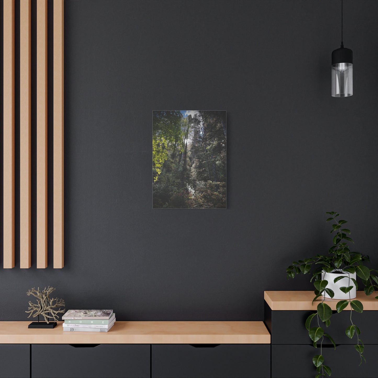 Forest Light Matte Canvas Print — Sunlit Woodland Wall Art (Stretched 1.25")
