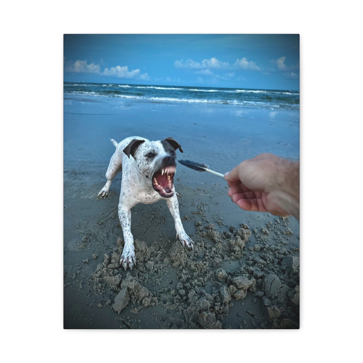 Playful Beach Dog Canvas Print — "Fetch" Moment Wall Art