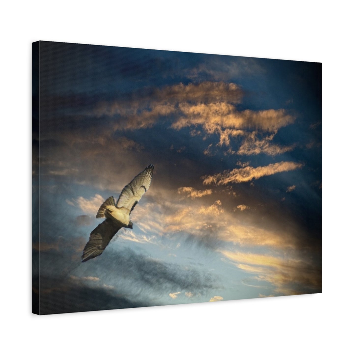 Hawk at Sunset Matte Canvas Print — Coastal Wall Art, Tranquil Ocean Sky