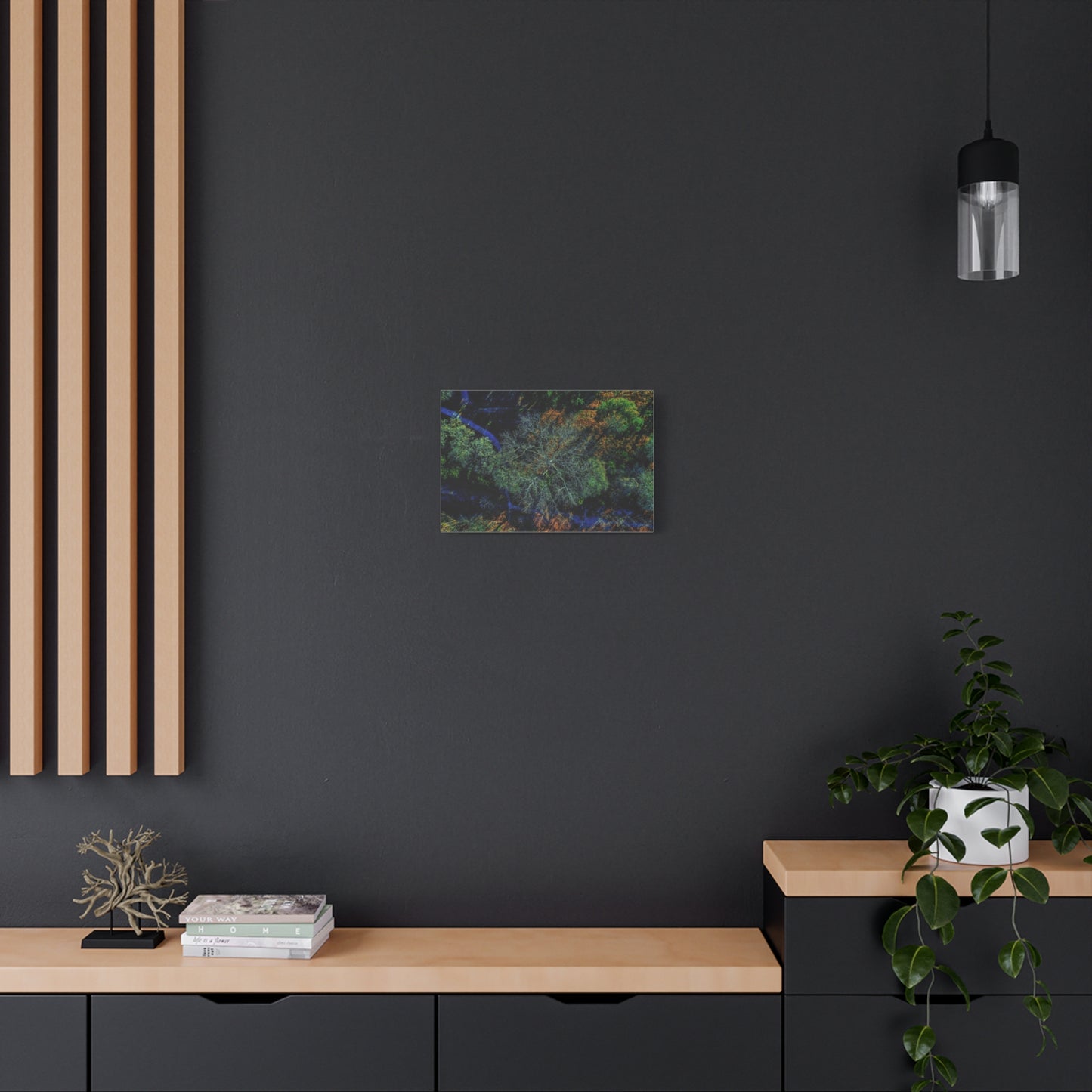 Aerial Forest Canvas Print — Matte Stretched Wall Art