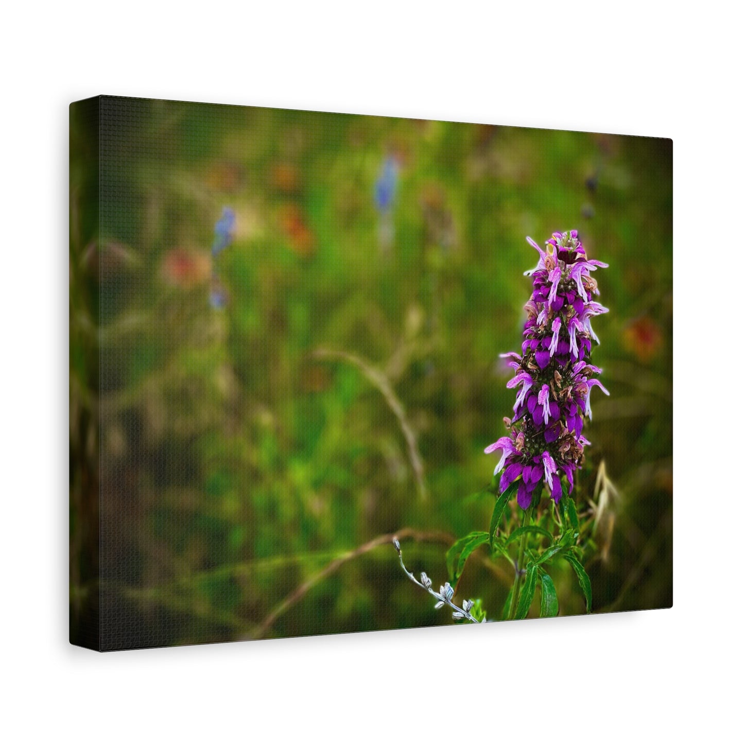 Wildflower Canvas Print — Purple Meadow Floral Wall Art (Matte Stretched)
