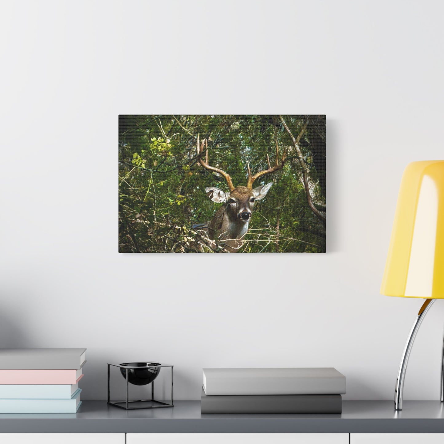 Deer in Forest Matte Canvas Wall Art — Stretched Nature Wildlife Print