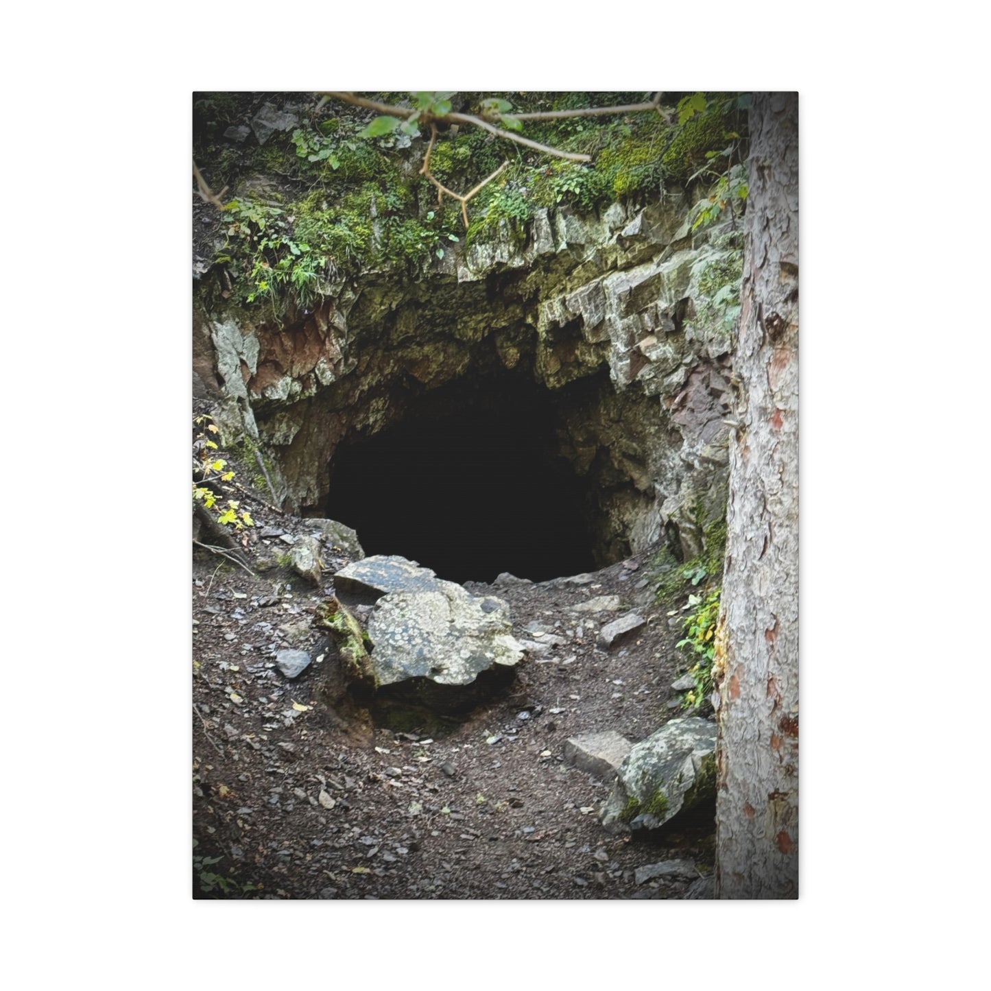 Cave Entrance Matte Canvas Wall Art — Stretched 1.25"