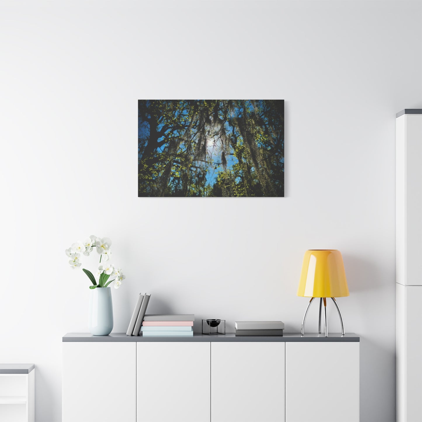 Spanish Moss Sunlight Matte Canvas Print — Stretched Wall Art (1.25")
