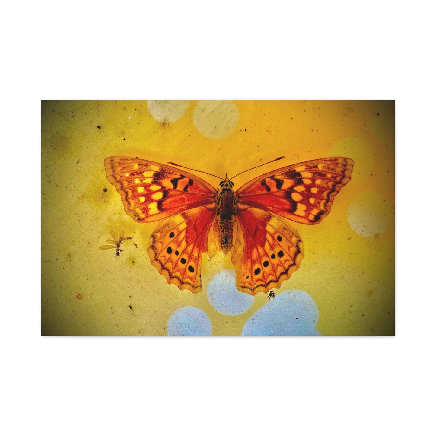 Orange Butterfly Matte Canvas Wall Art — Vibrant Vintage-Inspired Nature Print