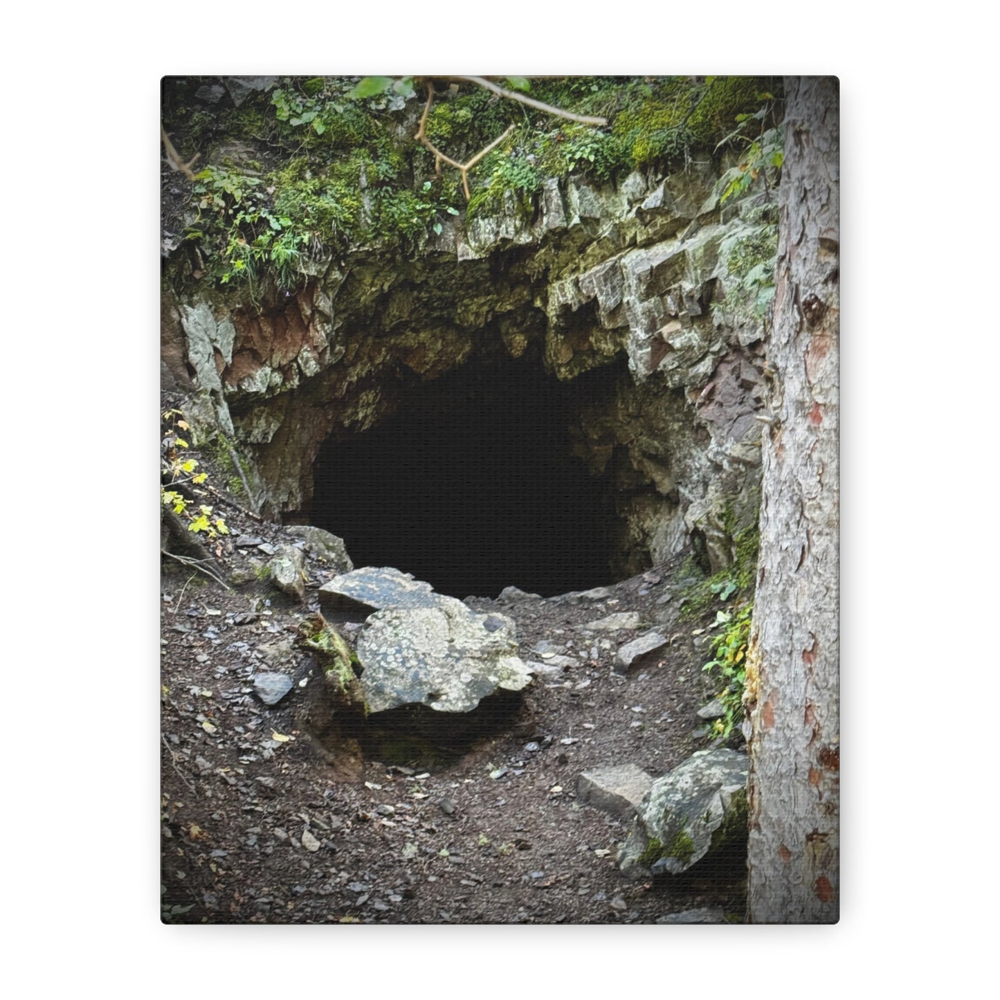 Cave Entrance Matte Canvas Wall Art — Stretched 1.25"