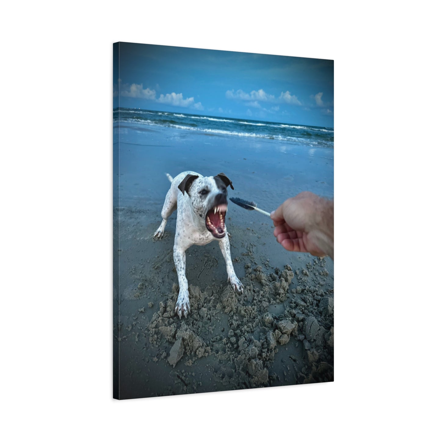 Playful Beach Dog Canvas Print — "Fetch" Moment Wall Art