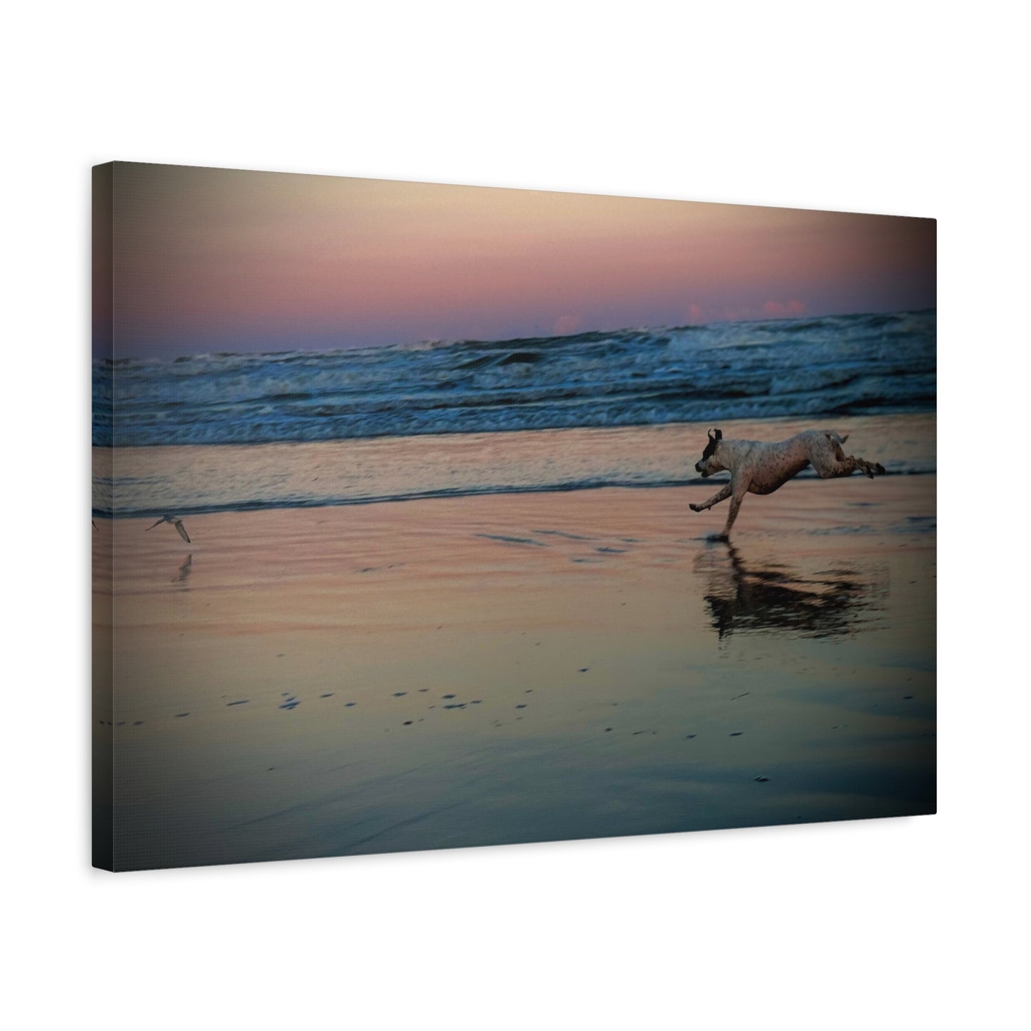Seaside Sunset Canvas Print — Running Beach Dog Wall Art (Matte Stretched 1.25")