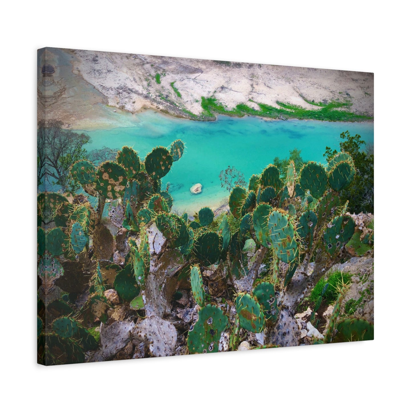 Desert Cactus Coastal Canvas Print — Turquoise Lagoon Wall Art, Matte Stretched 1.25"