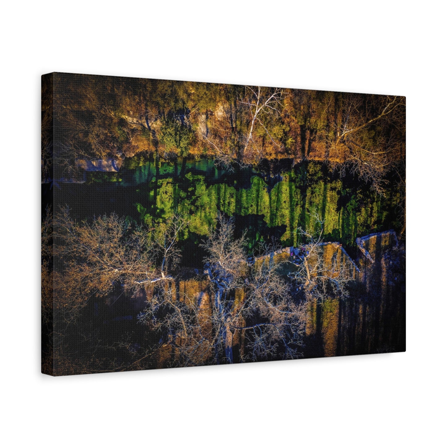Abstract Forest Reflection Matte Canvas Wall Art — Stretched 1.25"