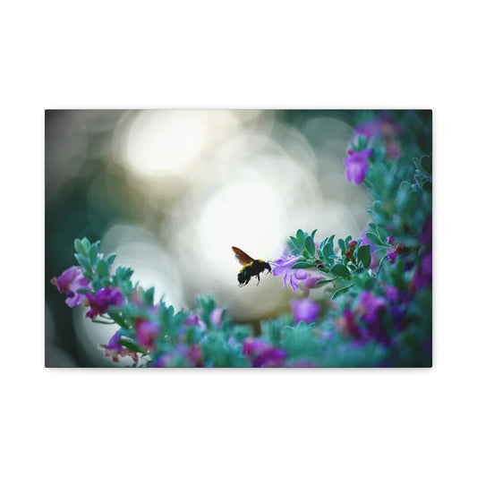 Bumble Bee in Bloom Matte Canvas Wall Art