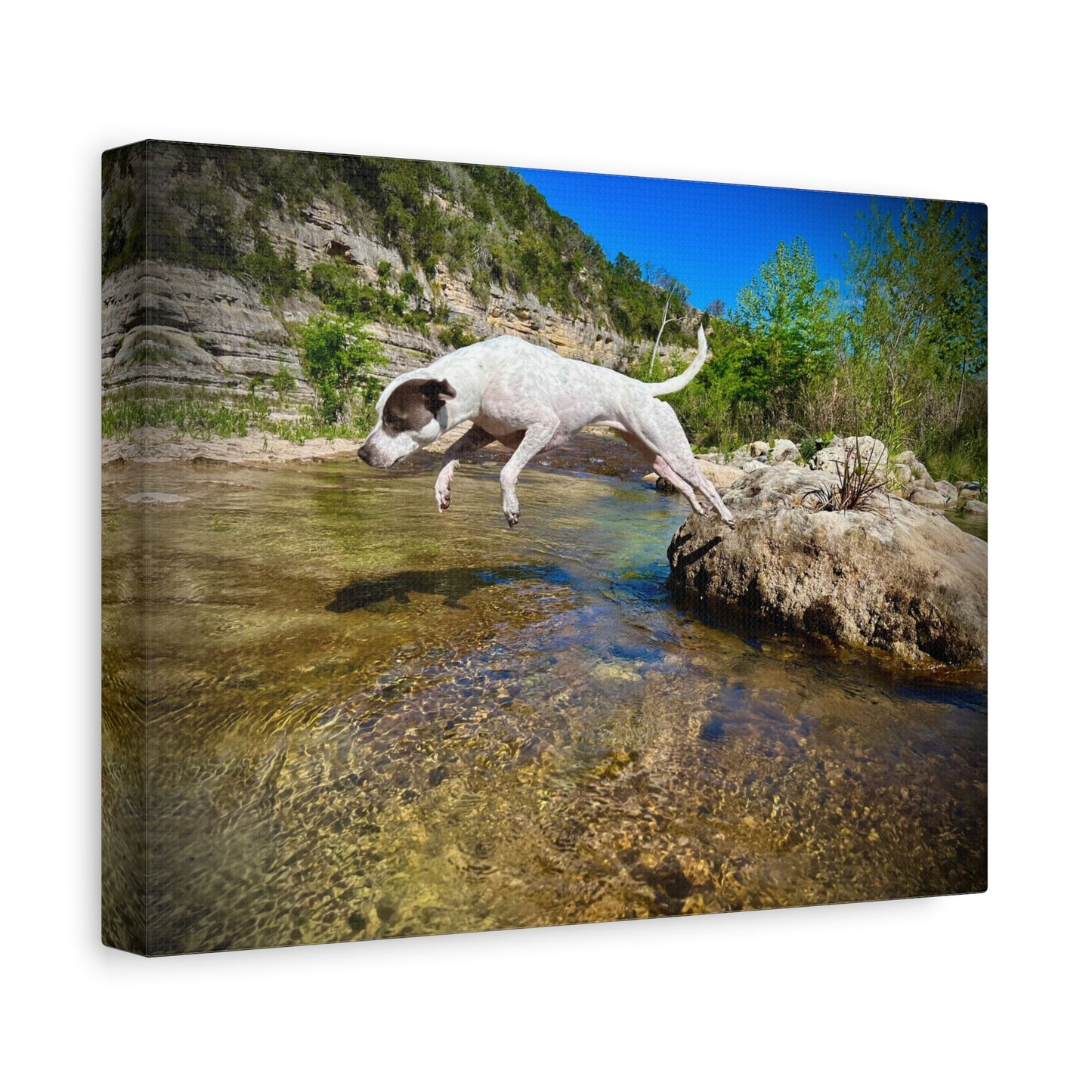 Canvas Print — Dog Leaping Over River | Outdoor Adventure Wall Art
