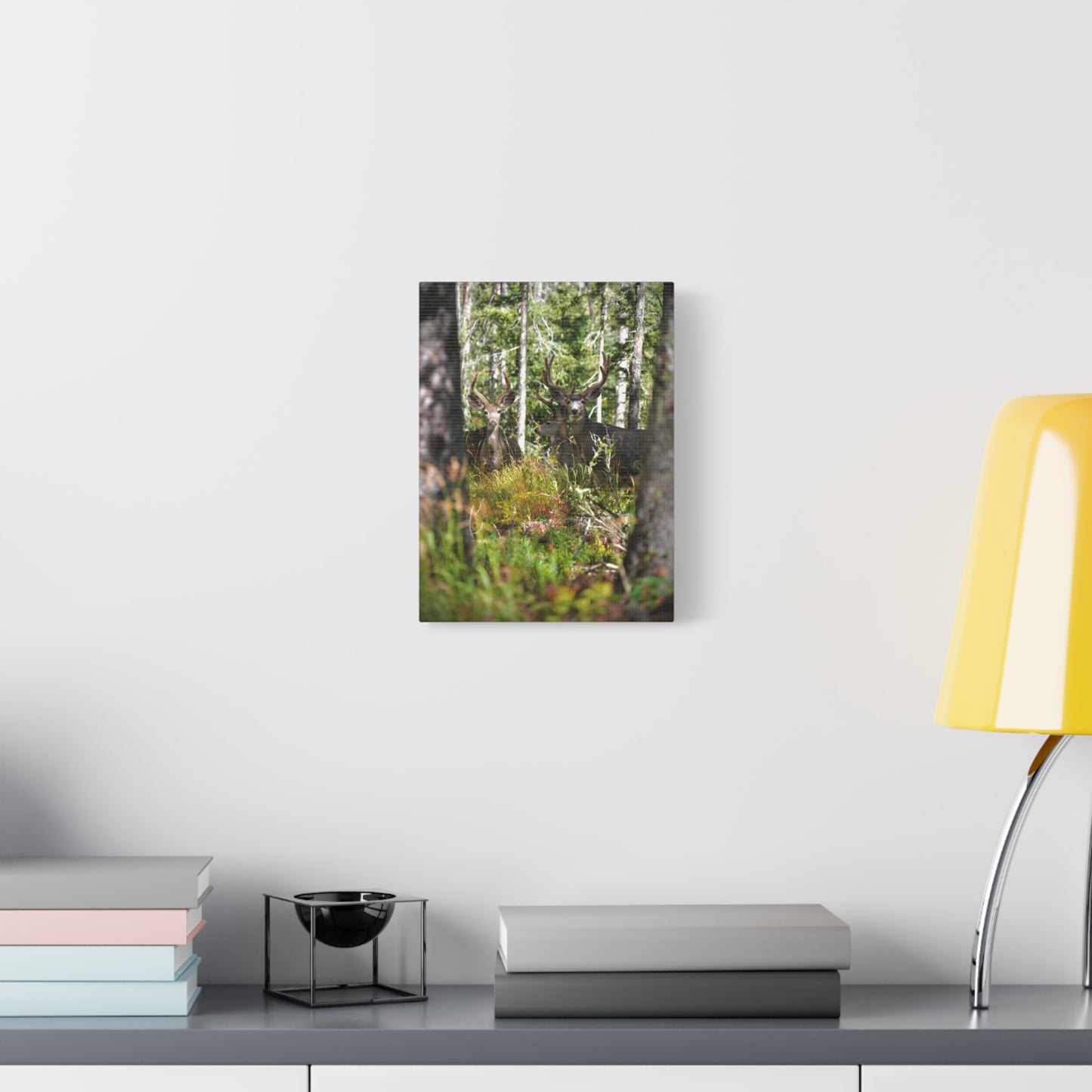 Deer in Forest Matte Canvas Print — Stretched Woodland Wildlife Wall Art