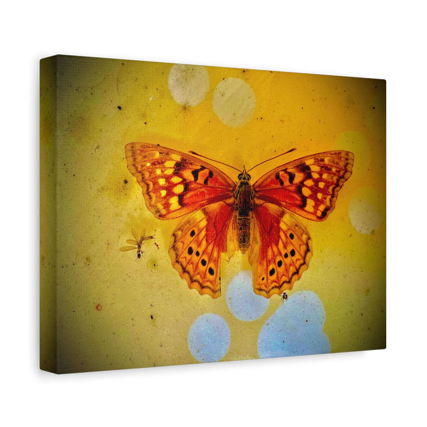 Orange Butterfly Matte Canvas Wall Art — Vibrant Vintage-Inspired Nature Print