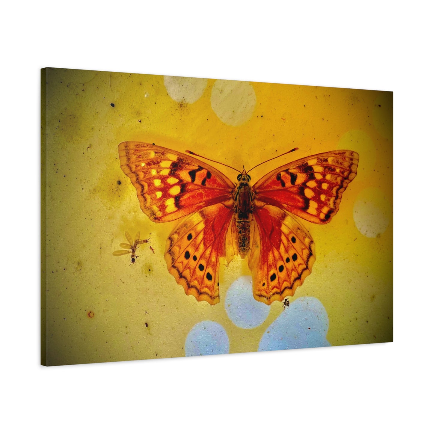 Orange Butterfly Matte Canvas Wall Art — Vibrant Vintage-Inspired Nature Print