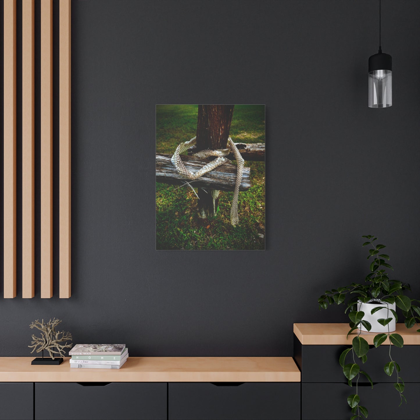 Snake Shed on Rustic Fence — Matte Stretched Canvas Wall Art