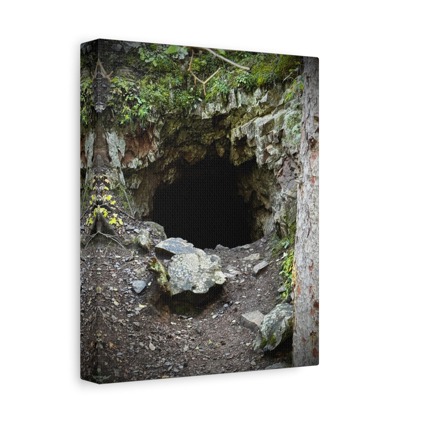 Cave Entrance Matte Canvas Wall Art — Stretched 1.25"