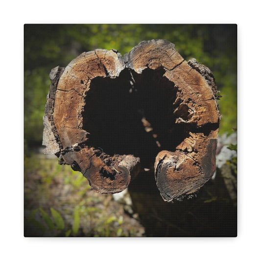 Heartwood Log Photo Canvas — Rustic Nature Wall Art