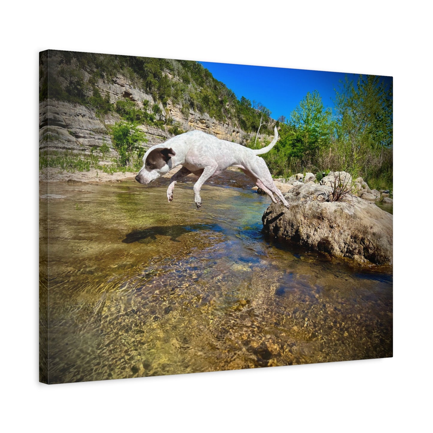Canvas Print — Dog Leaping Over River | Outdoor Adventure Wall Art