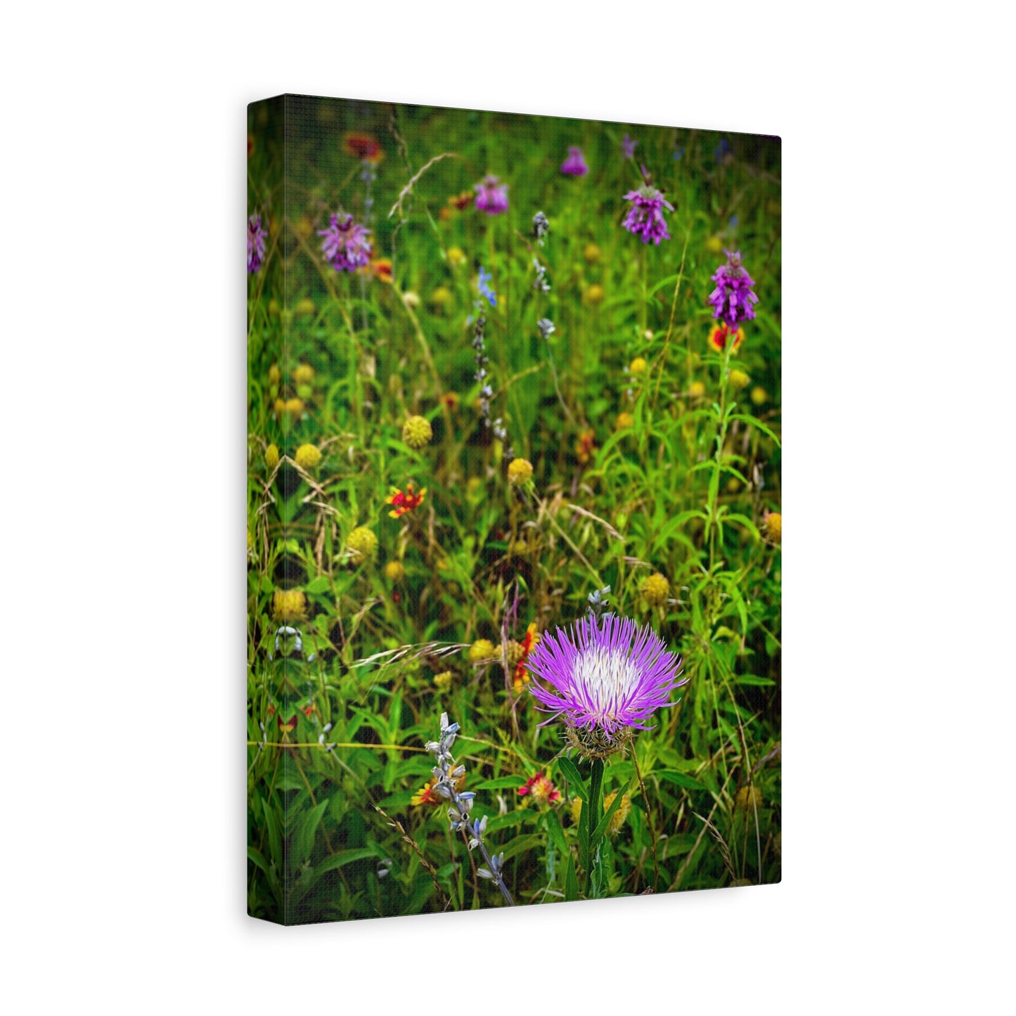 Wildflower Meadow Canvas Print — Stretched Matte Nature Wall Art