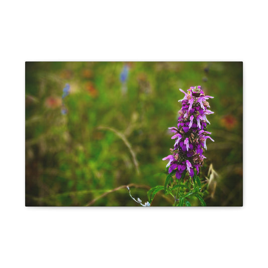 Wildflower Canvas Print — Purple Meadow Floral Wall Art (Matte Stretched)