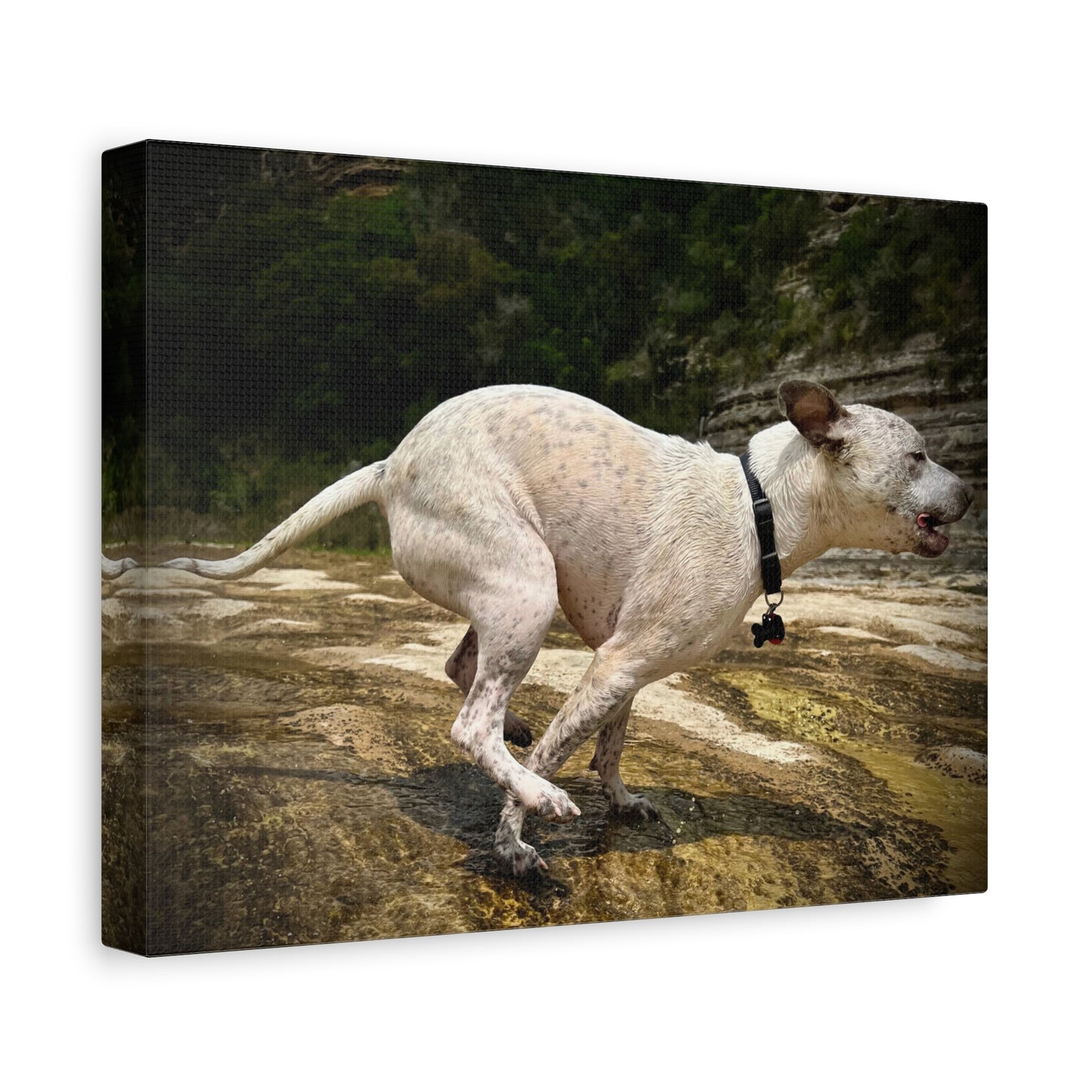 Running Dog Canvas Wall Art – Matte Stretched Pet Photo Print