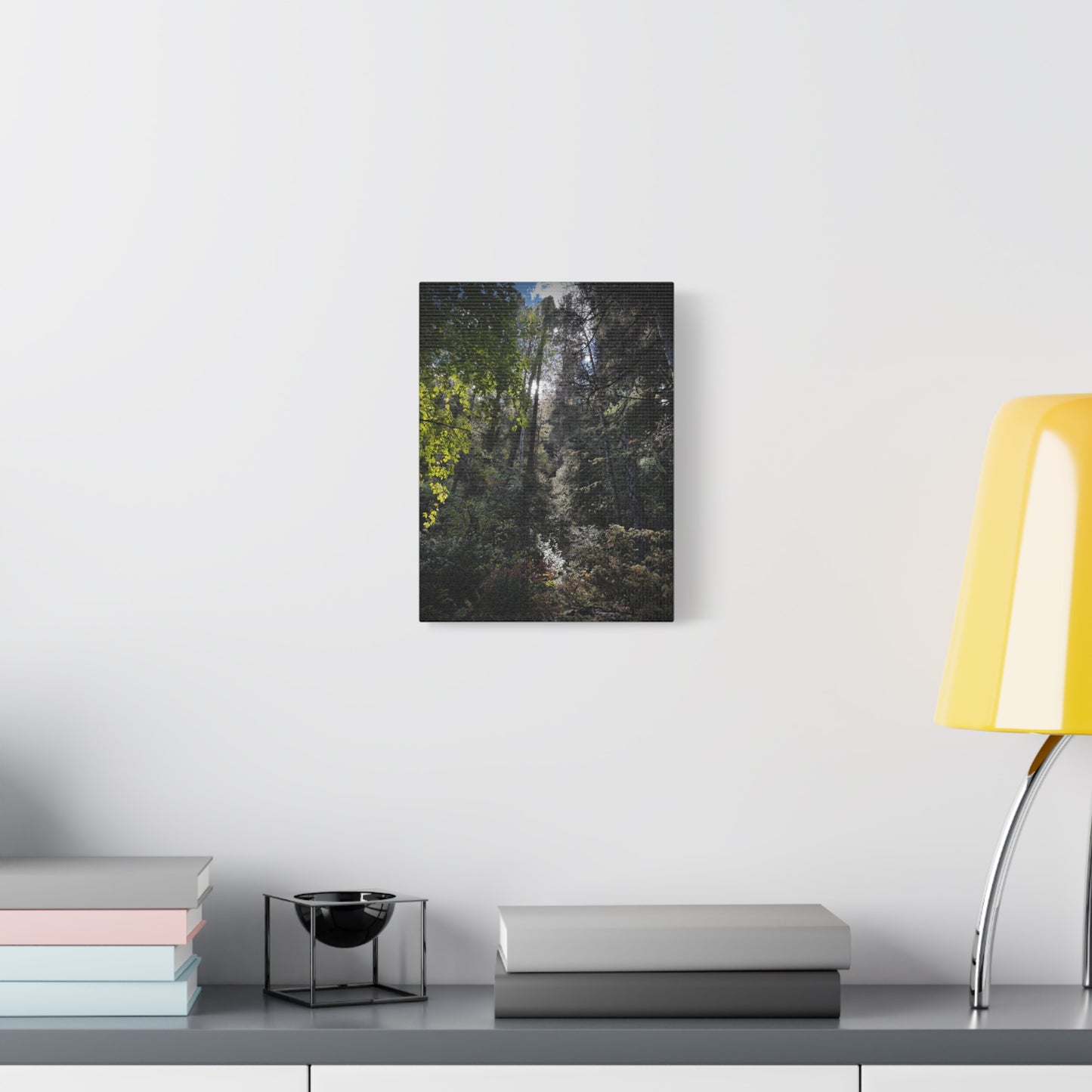 Forest Light Matte Canvas Print — Sunlit Woodland Wall Art (Stretched 1.25")