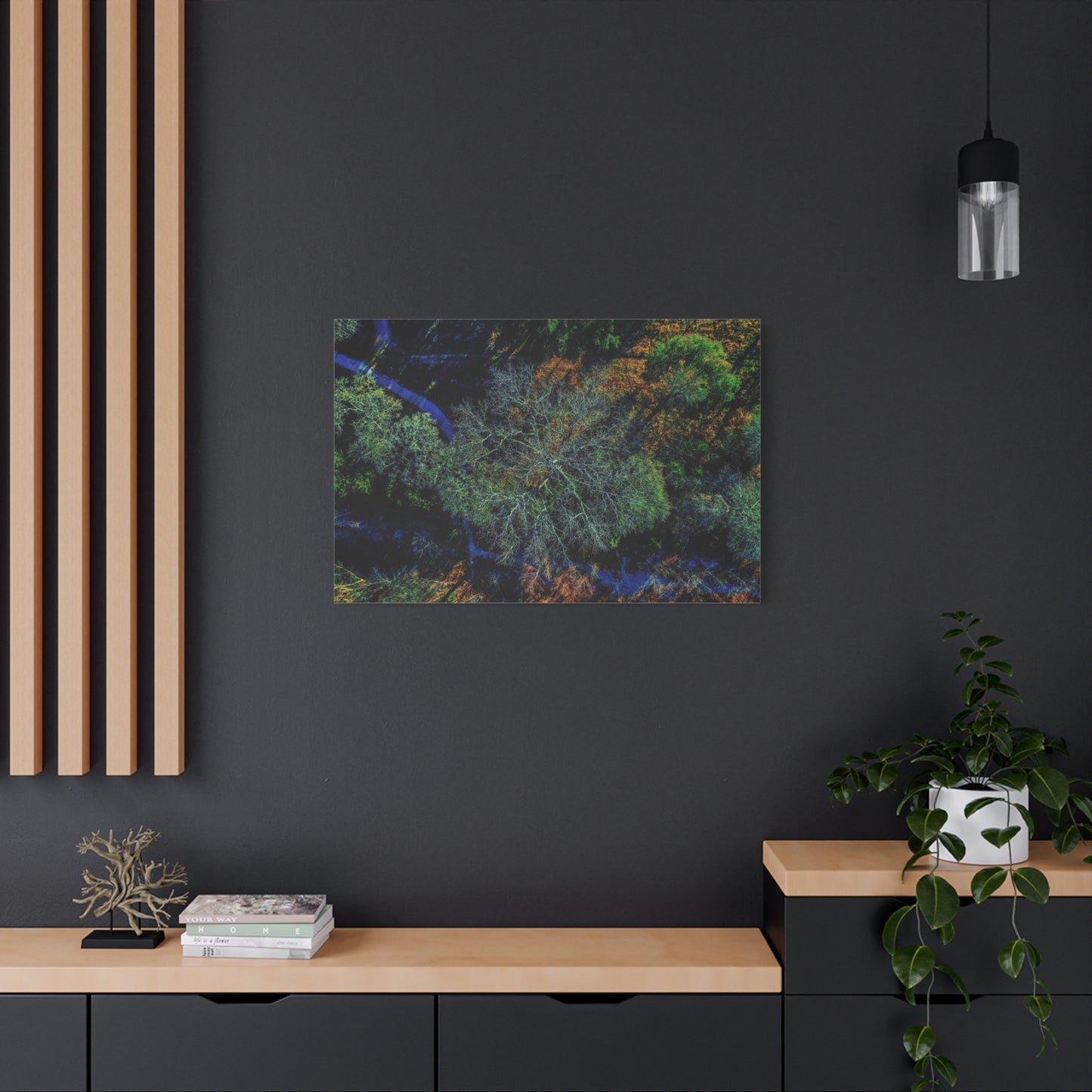 Aerial Forest Canvas Print — Matte Stretched Wall Art