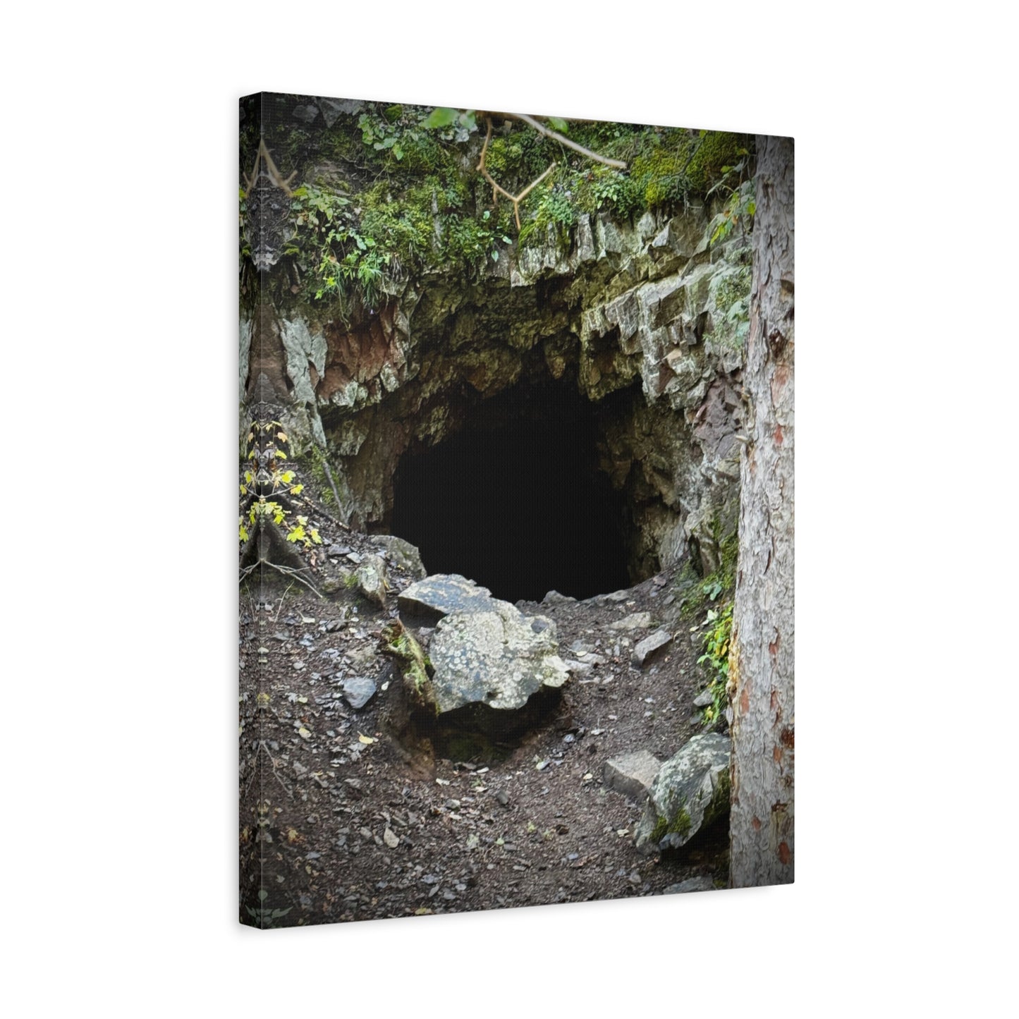 Cave Entrance Matte Canvas Wall Art — Stretched 1.25"