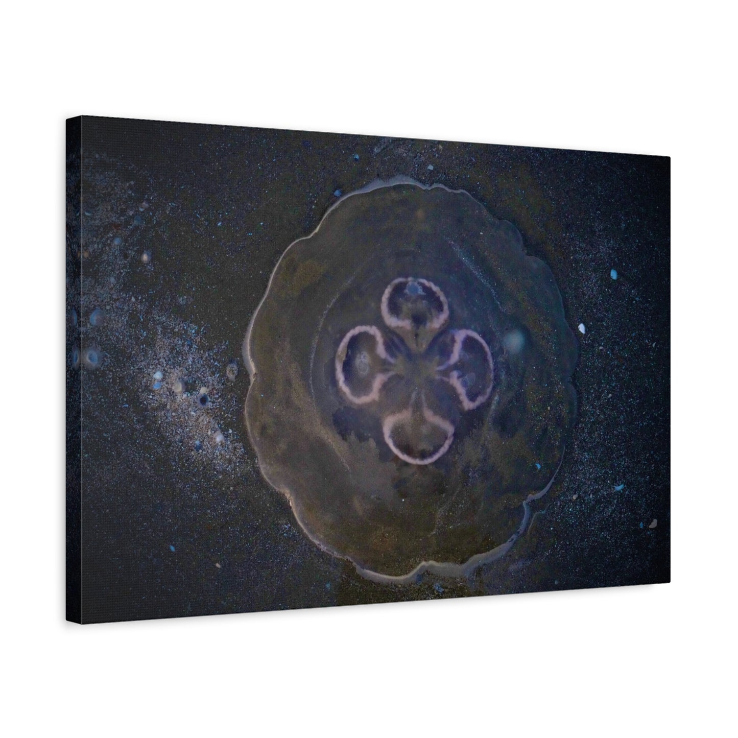 Abstract Jellyfish Canvas Print — Ethereal Ocean Wall Art, Matte Stretched 1.25"