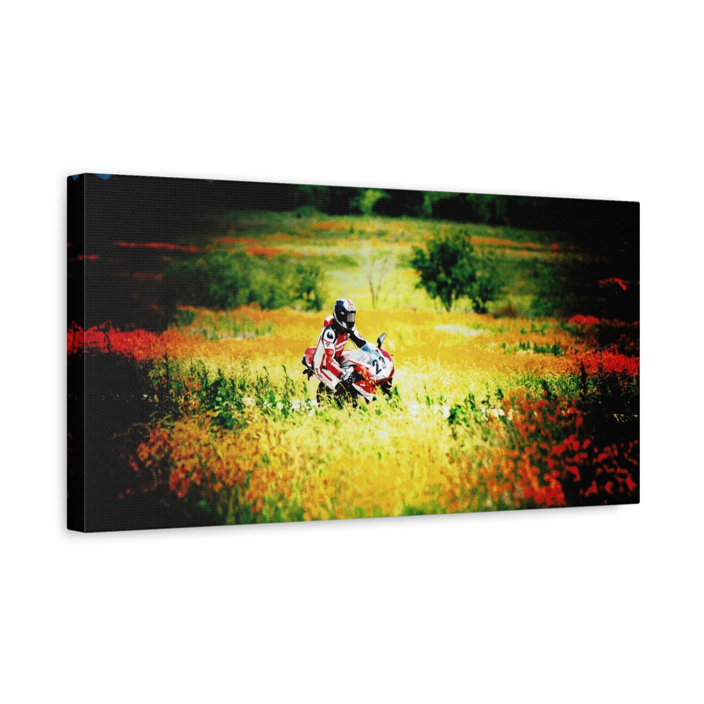 Motorcycle Racing Canvas Print — Rider in Wildflower Field Matte Stretched Art