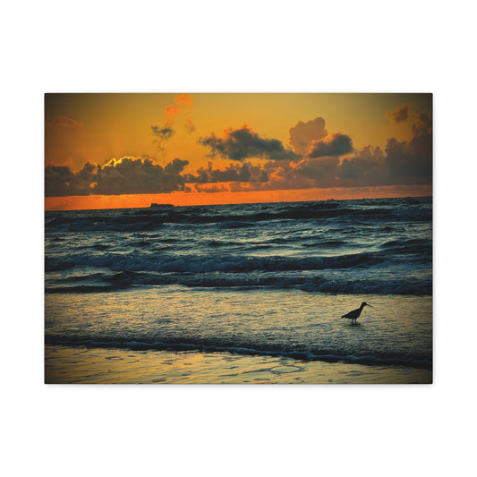 Sunset Seaside Canvas Wall Art — Beach Sunrise with Shorebird