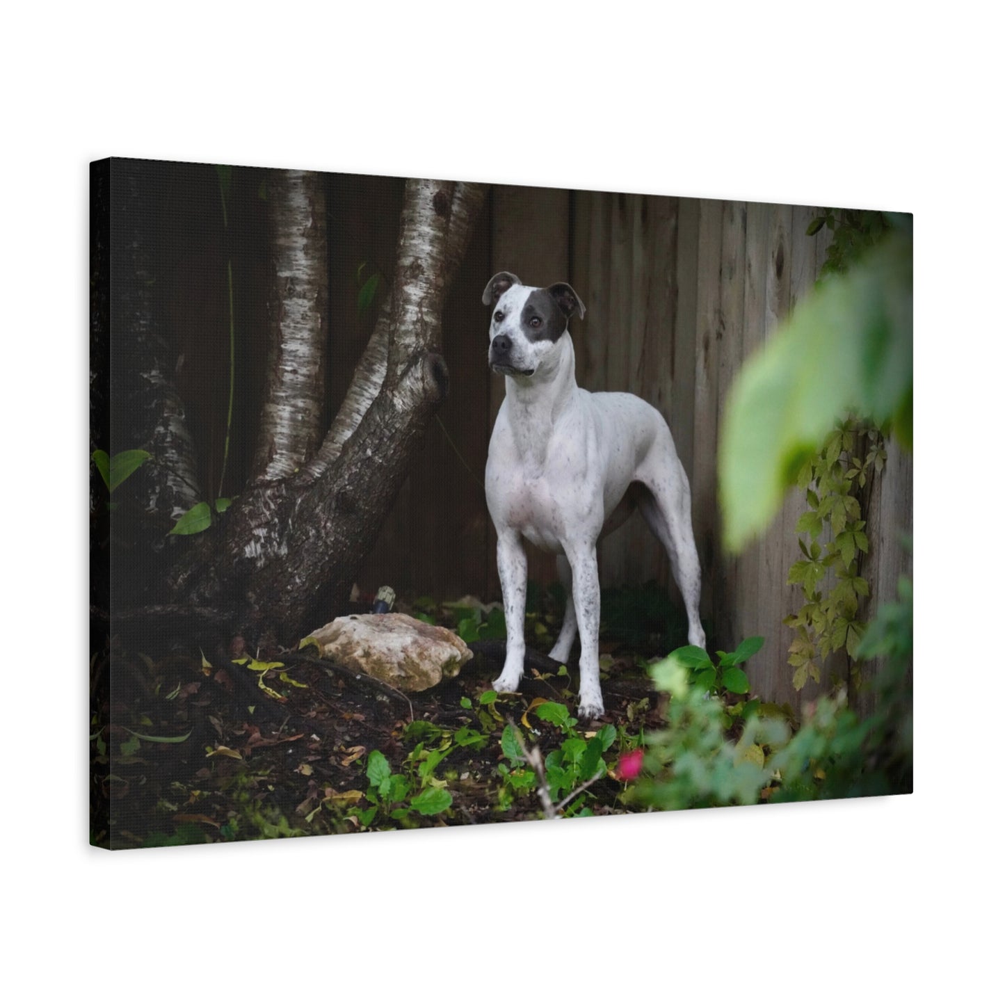 Dog Portrait Canvas Print — Matte Stretched Wall Art