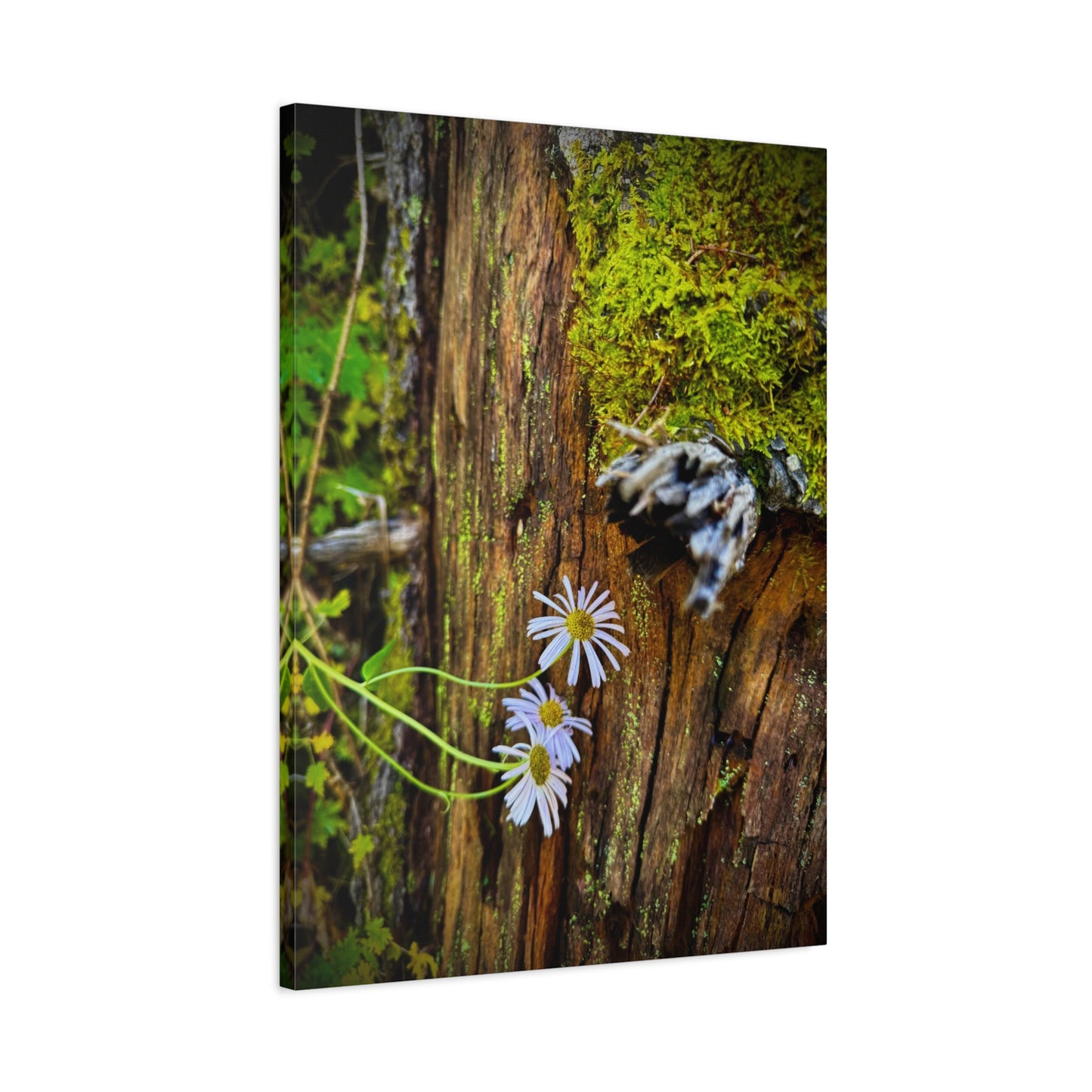 Wildflower & Moss Canvas Print — Rustic Nature Wall Art (Matte Stretched)