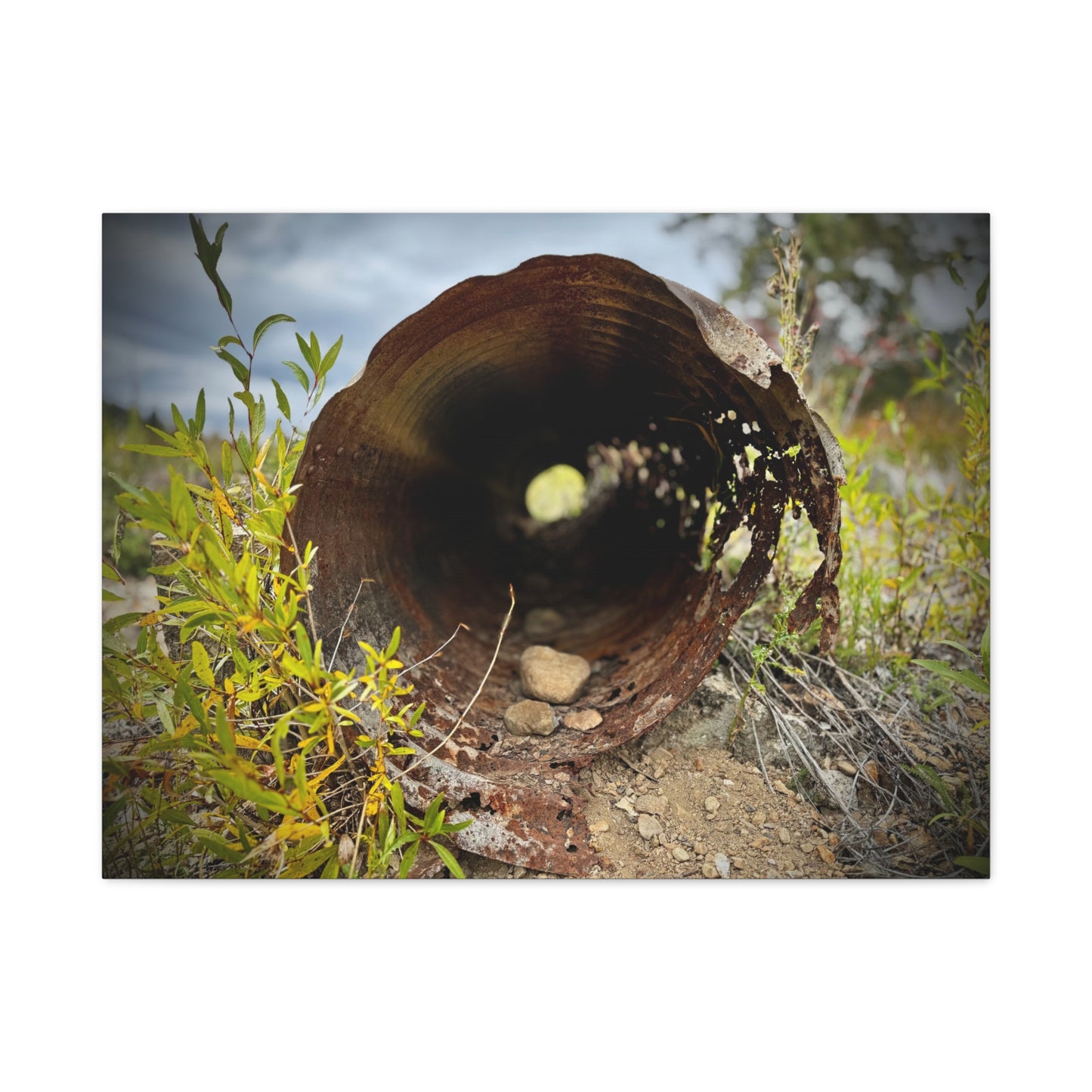 Rusty Pipe Nature Canvas Print — Matte Stretched Wall Art