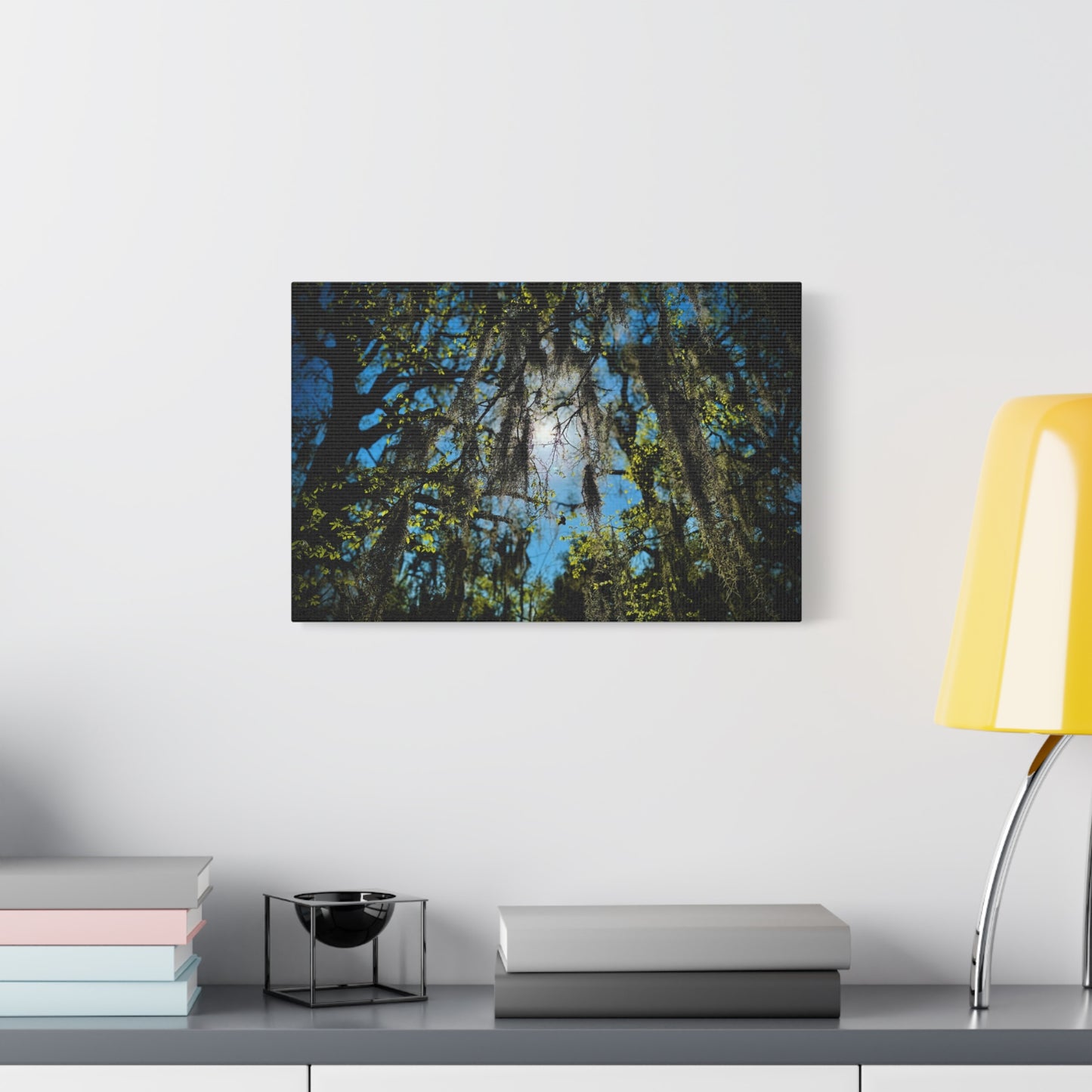 Spanish Moss Sunlight Matte Canvas Print — Stretched Wall Art (1.25")