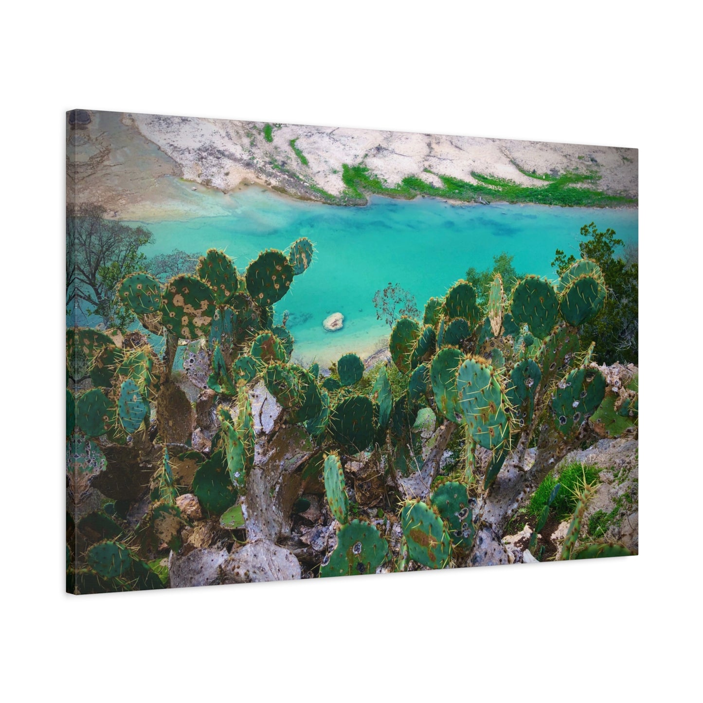 Desert Cactus Coastal Canvas Print — Turquoise Lagoon Wall Art, Matte Stretched 1.25"