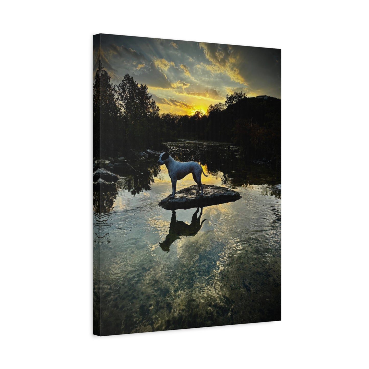 Dog - Manxy - Sunset Canvas Wall Art — Scenic River Reflection Matte Stretched Print