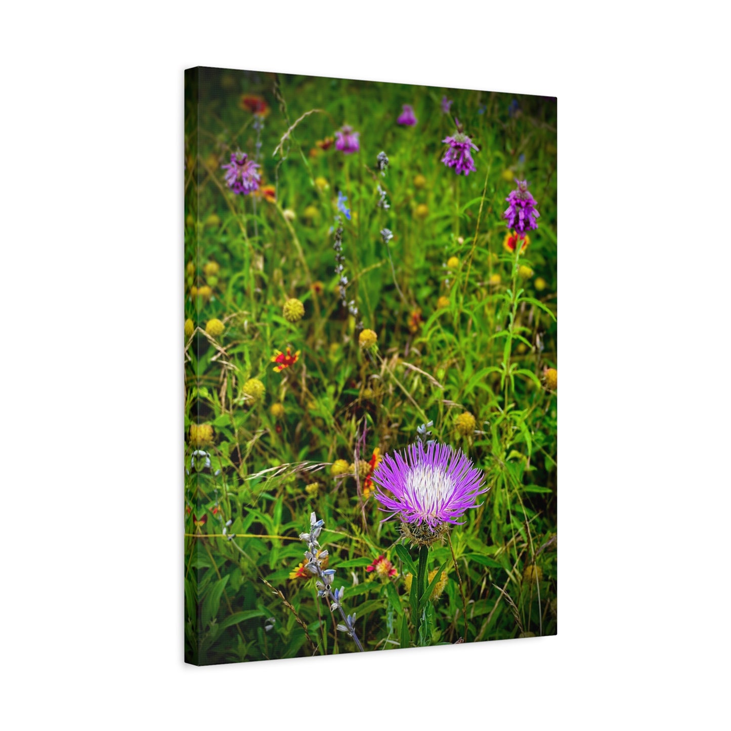 Wildflower Meadow Canvas Print — Stretched Matte Nature Wall Art