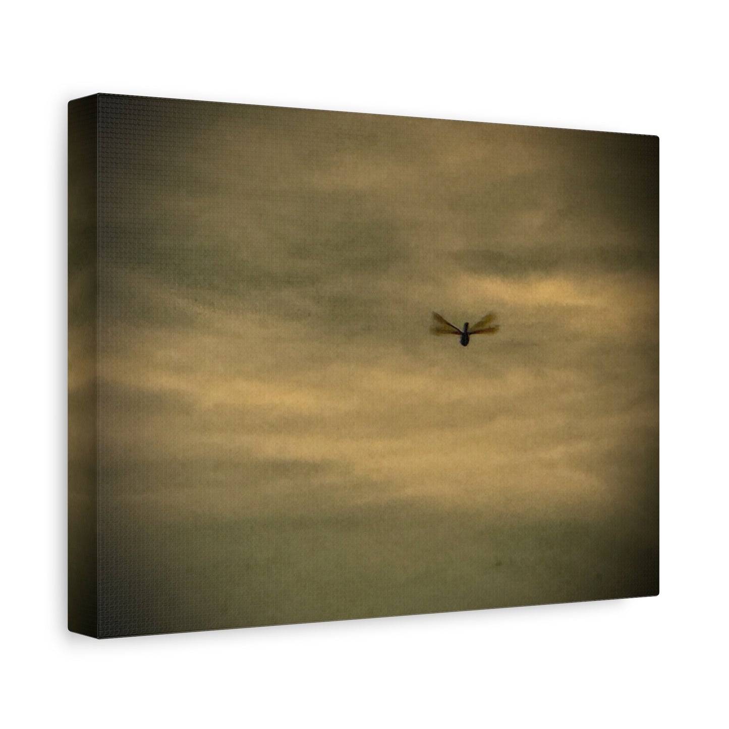 Dragonfly Sky Canvas Print – Moody Vintage Wall Art (Matte Stretched 1.25")