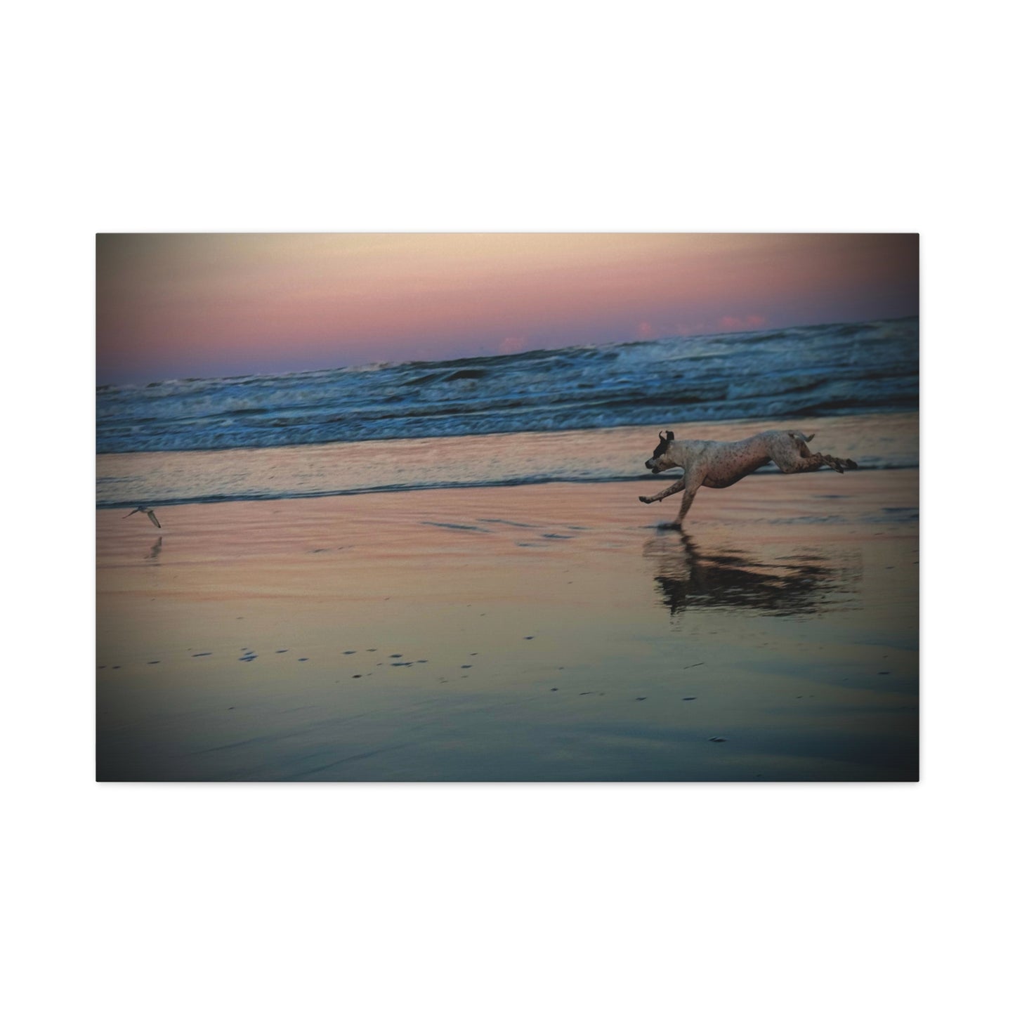 Seaside Sunset Canvas Print — Running Beach Dog Wall Art (Matte Stretched 1.25")