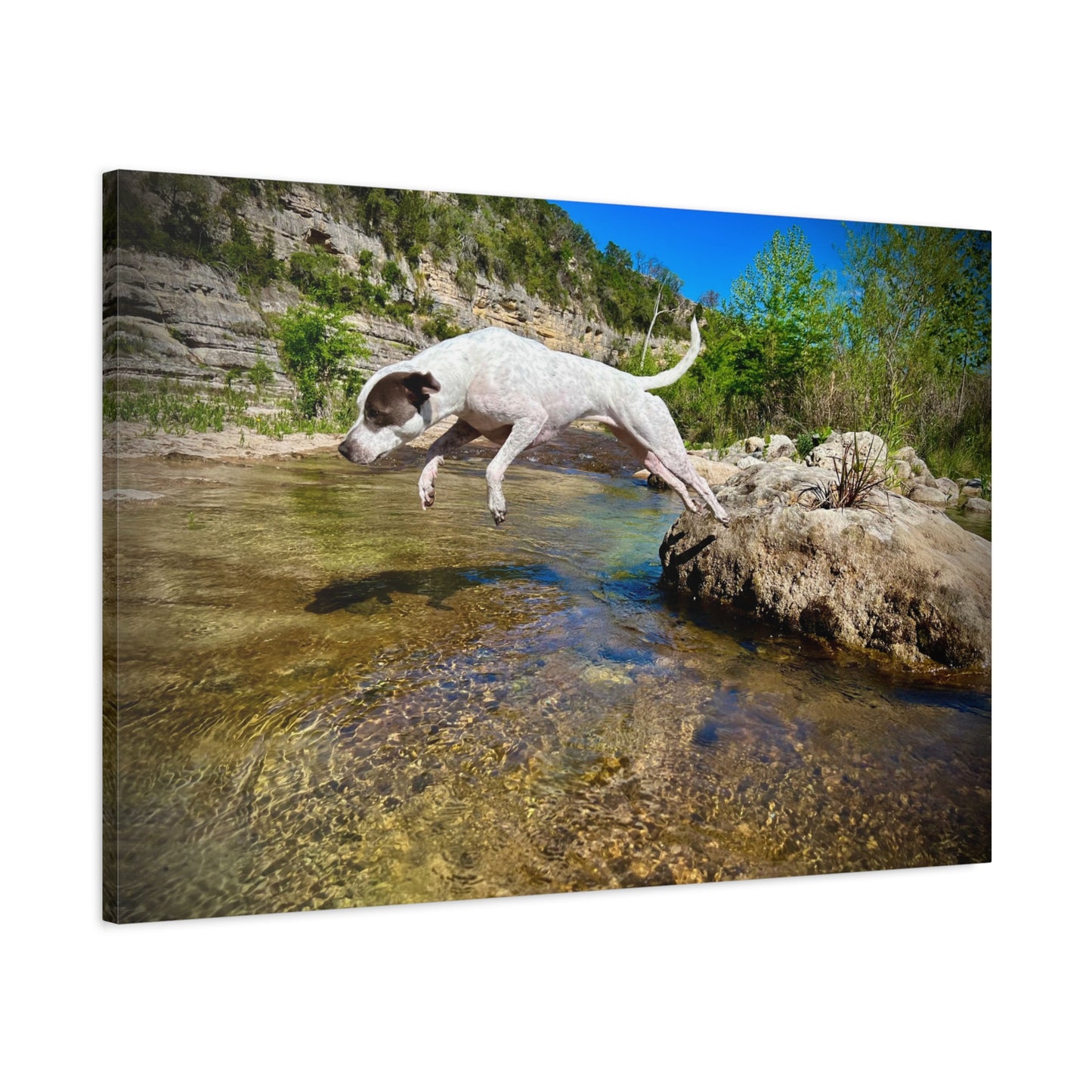 Canvas Print — Dog Leaping Over River | Outdoor Adventure Wall Art
