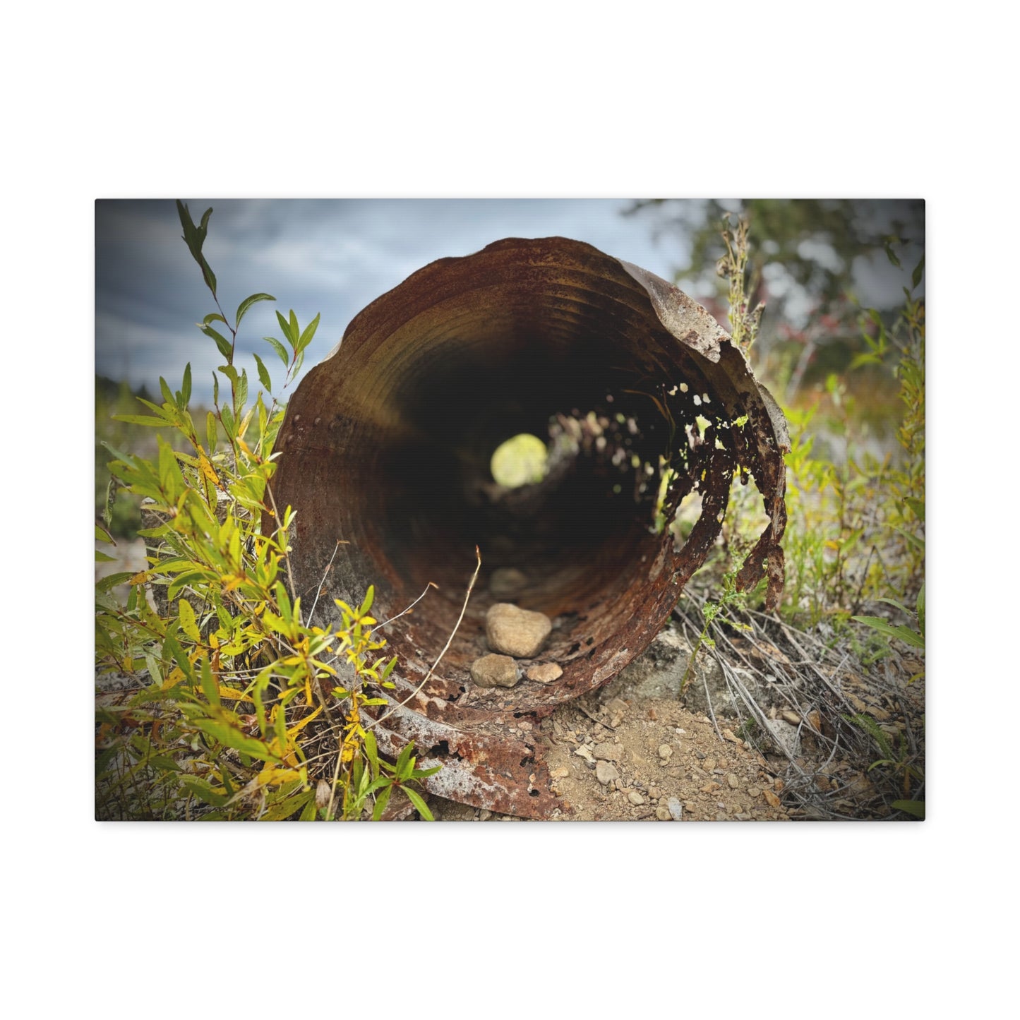 Rusty Pipe Nature Canvas Print — Matte Stretched Wall Art