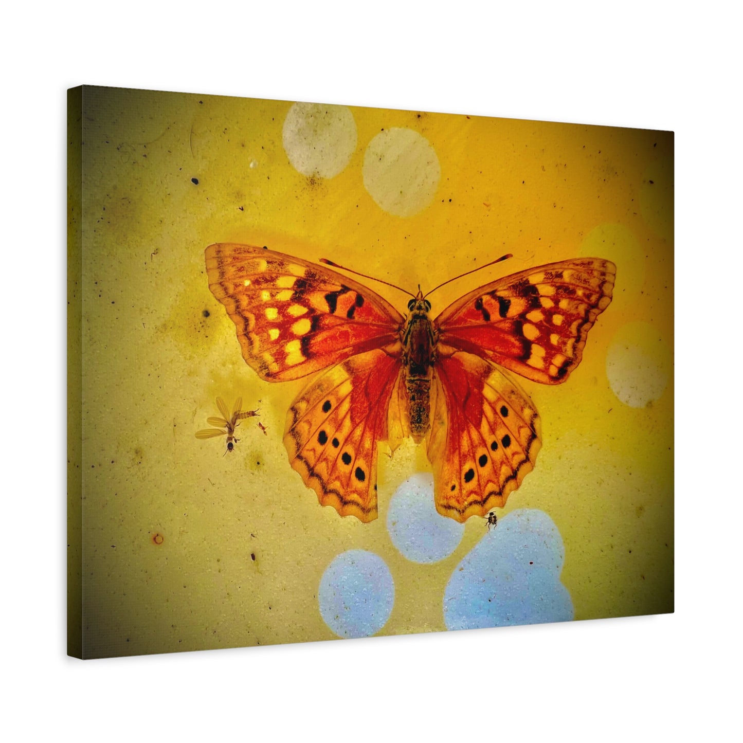 Orange Butterfly Matte Canvas Wall Art — Vibrant Vintage-Inspired Nature Print