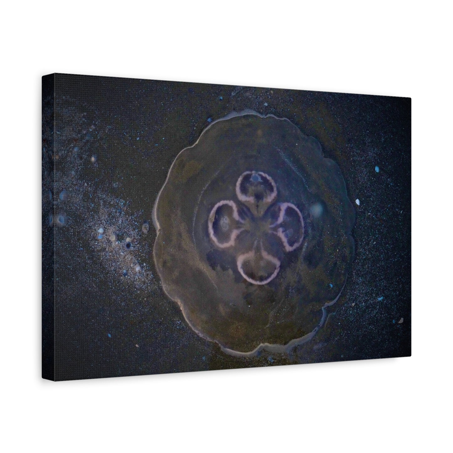 Abstract Jellyfish Canvas Print — Ethereal Ocean Wall Art, Matte Stretched 1.25"