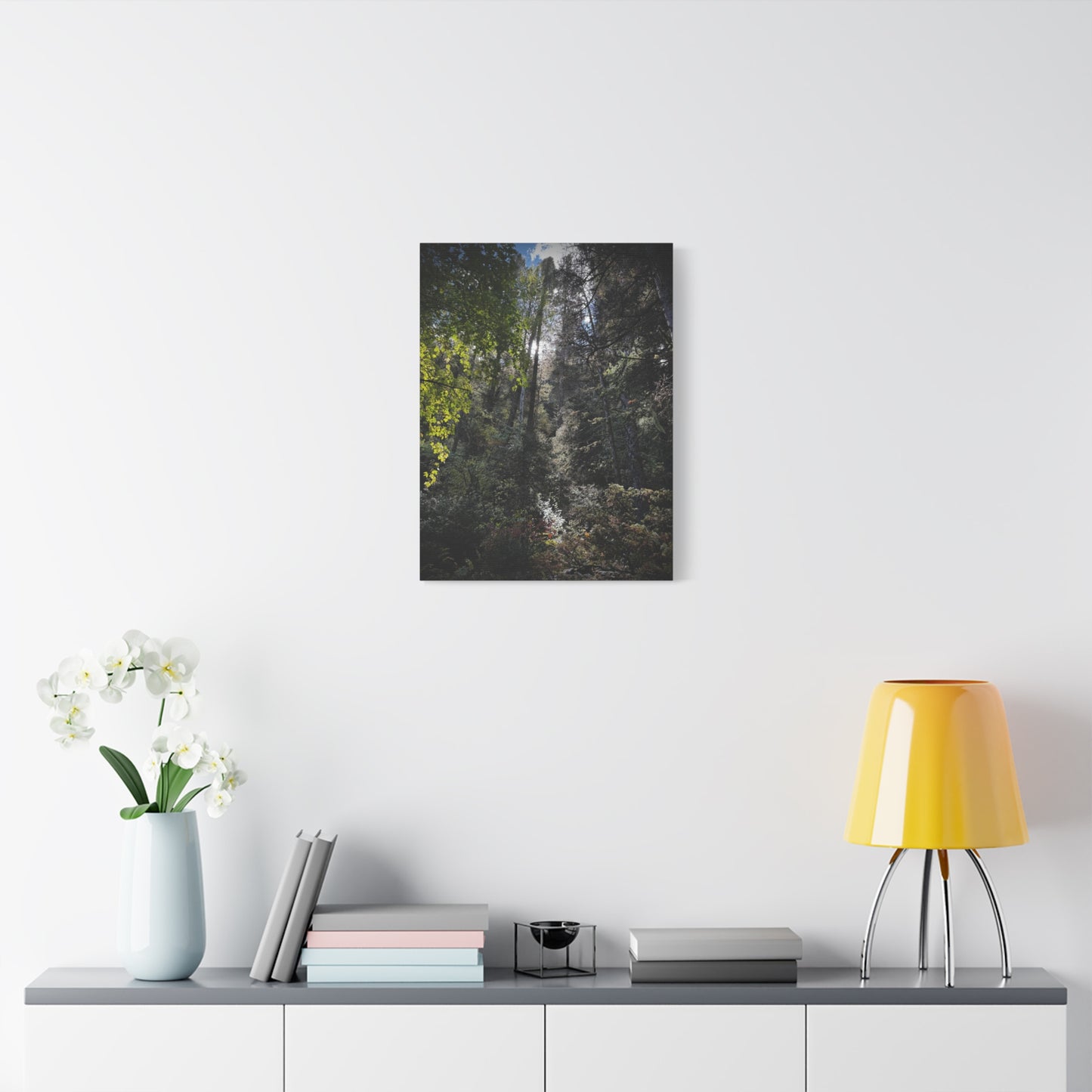 Forest Light Matte Canvas Print — Sunlit Woodland Wall Art (Stretched 1.25")