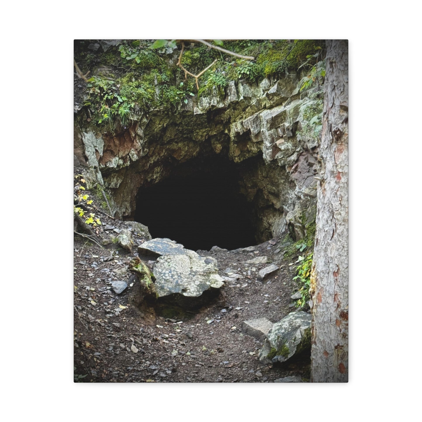 Cave Entrance Matte Canvas Wall Art — Stretched 1.25"